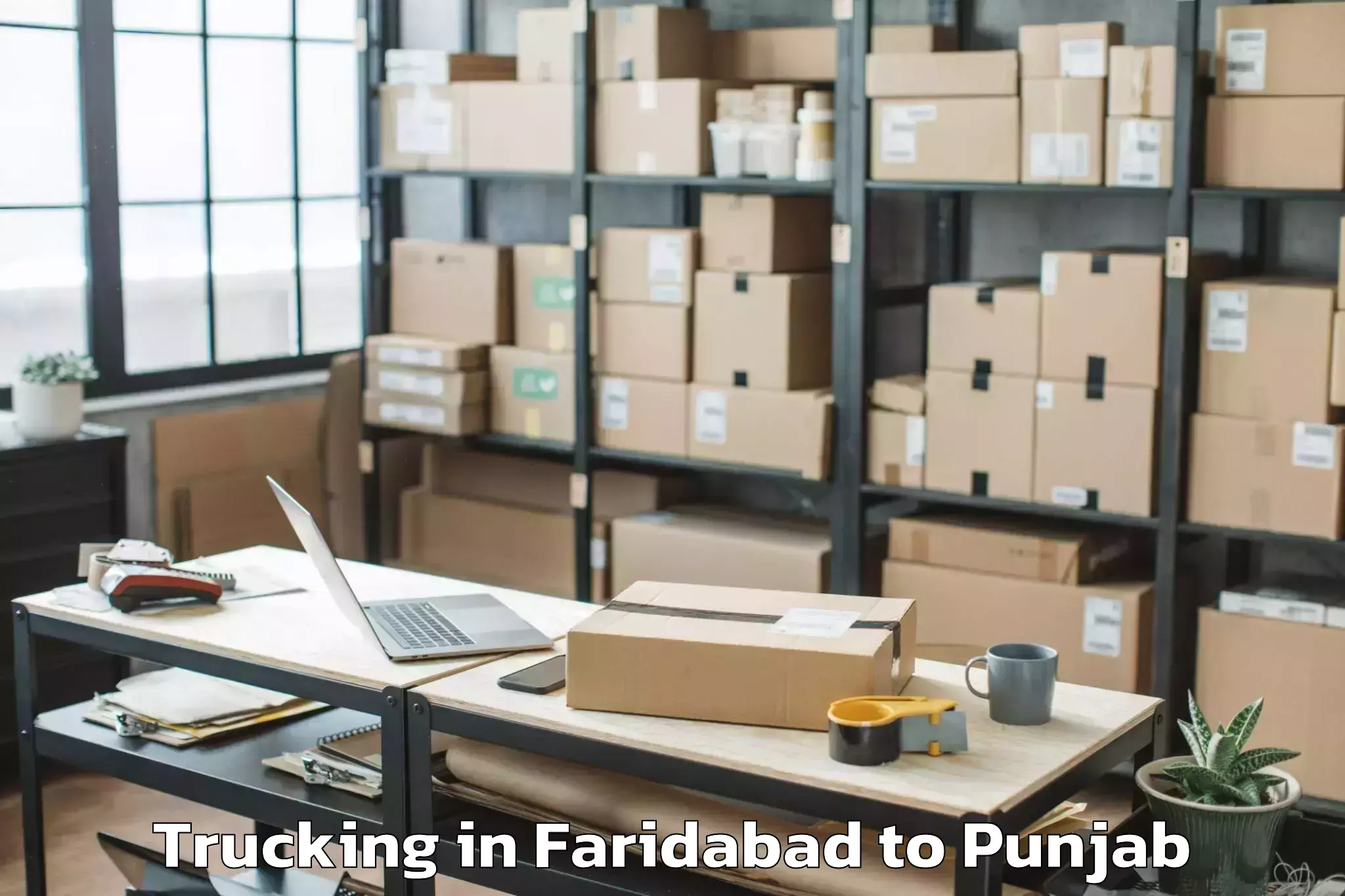 Book Faridabad to Bassi Pathana Trucking